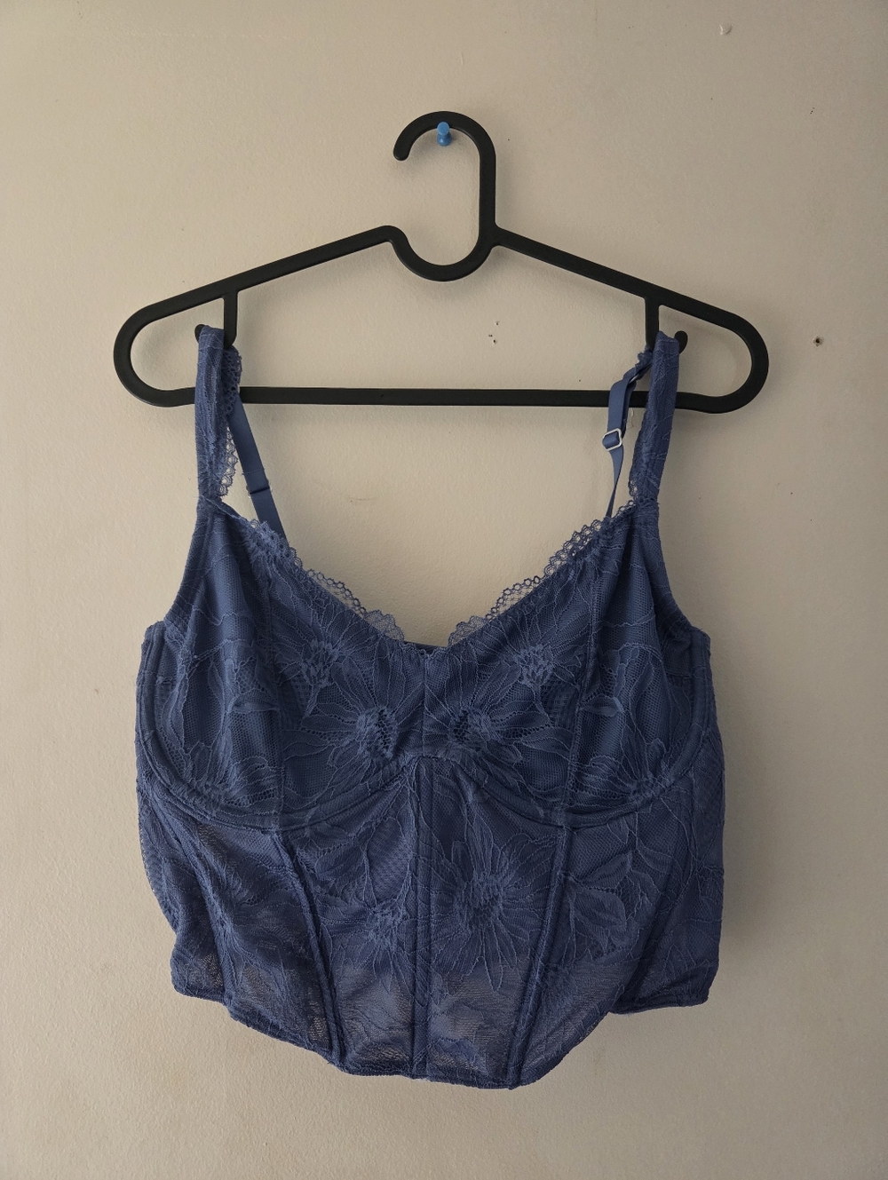 Gilly Hicks Bustier